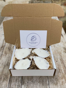 Oyster Shell Candle Gift Box (Non-Scented)